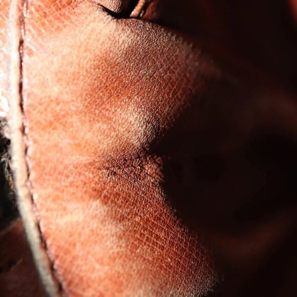 LOUIS VUITTON Monogram Amazon Shoulder Bag M45236 LV Auth 109007 - Picture 13 of 16